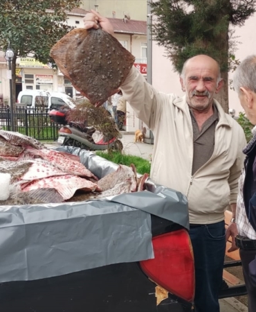 Sinop'ta kaçak avlanan kalkan balıkları vatandaşlara dağıtıldı