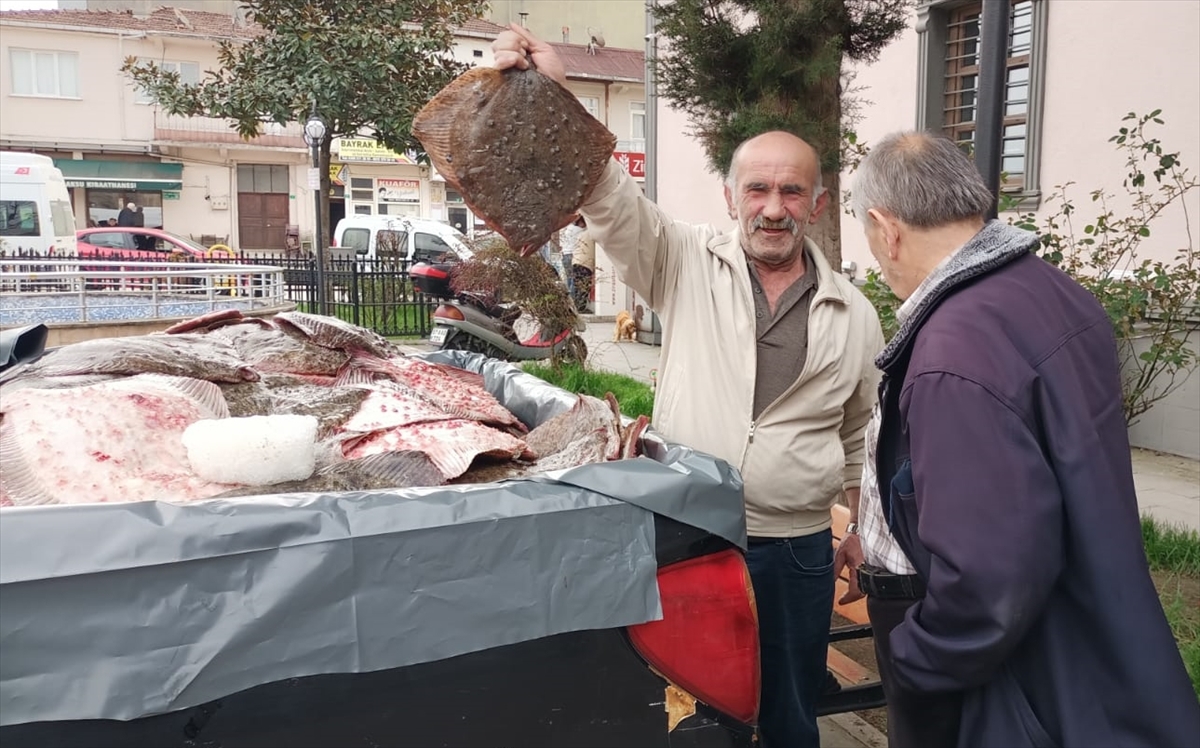 Sinop'ta kaçak avlanan kalkan balıkları vatandaşlara dağıtıldı