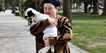 Sinop’ta minik kuzu "Pamuk", ailenin yeni üyesi oldu