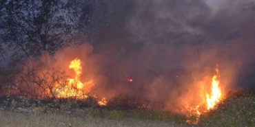 Sinop’ta örtü yangını