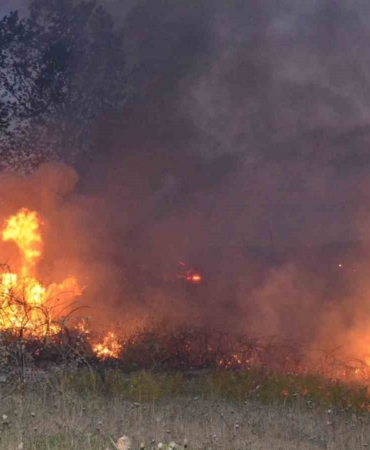 Sinop’ta örtü yangını