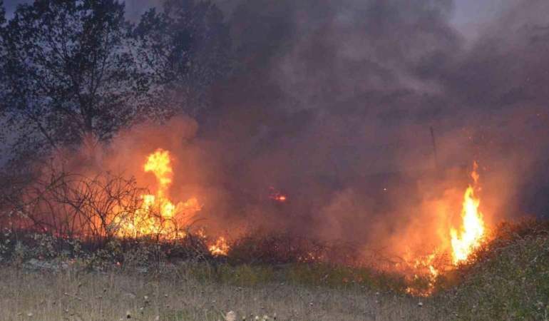 Sinop’ta örtü yangını