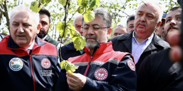 thumbs-b-c-106008c91fb77929f0b9417282a8e129