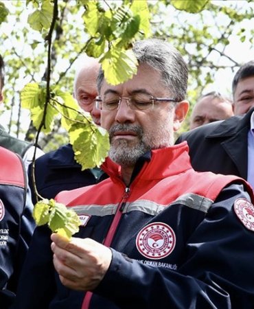 thumbs-b-c-106008c91fb77929f0b9417282a8e129