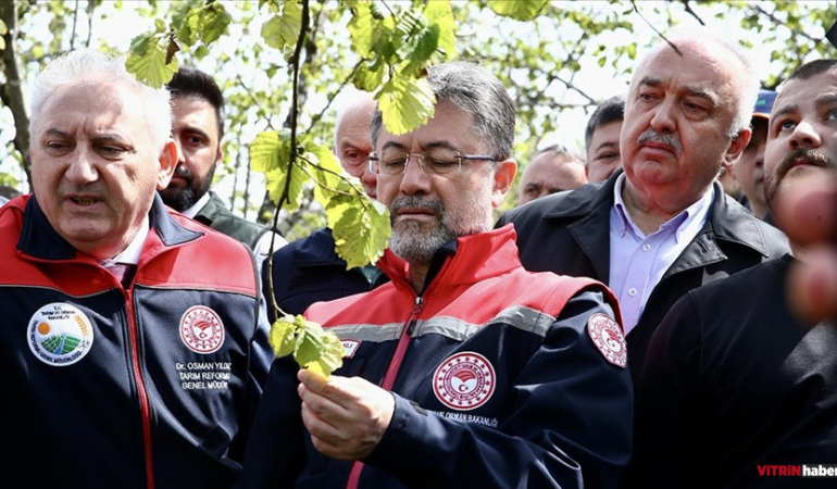 Zirai dondan etkilenen ürünler için devlet desteği sağlanacak