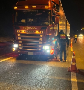 Tır dorsesinde yurt dışına kaçmaya çalışanlar yakalandı