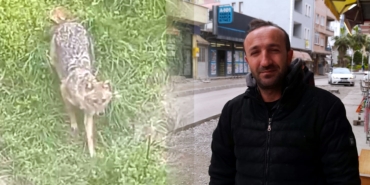 Sinop'ta vatandaşın tilkiyle olan dostluğu gülümsetiyor