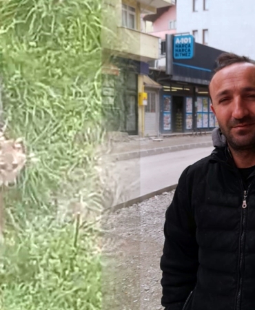 Sinop'ta vatandaşın tilkiyle olan dostluğu gülümsetiyor