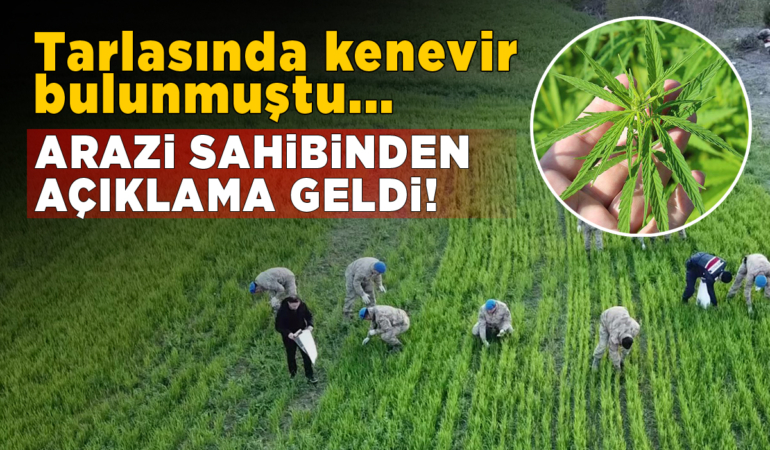 Sinop’taki tarlasında kenevir bulunan vatandaş konuştu