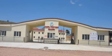 whats-app-image-2023-03-06-at-153551