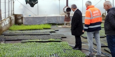 Belediye serasında yetişen çiçekler ilçeyi renklendiriyor