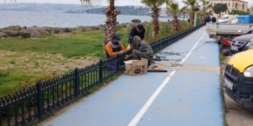 whatsapp-image-2025-04-18-at-101453