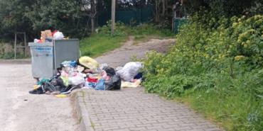 whatsapp-image-2025-04-19-at-185340