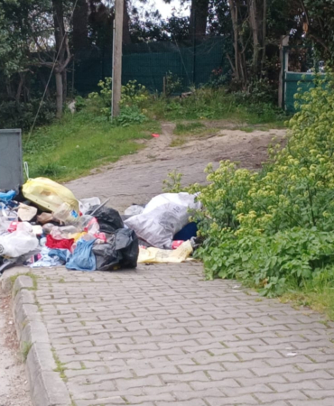 whatsapp-image-2025-04-19-at-185340