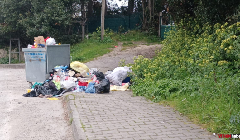 Sinop’ta mahalleliden çöp konteyneri talebi