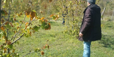 whatsapp-image-2025-04-21-at-134425