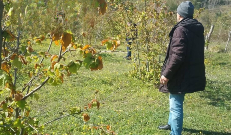 whatsapp-image-2025-04-21-at-134425