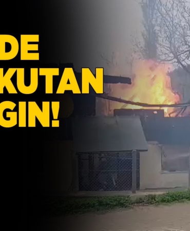 whatsapp-image-2025-04-25-at-165448