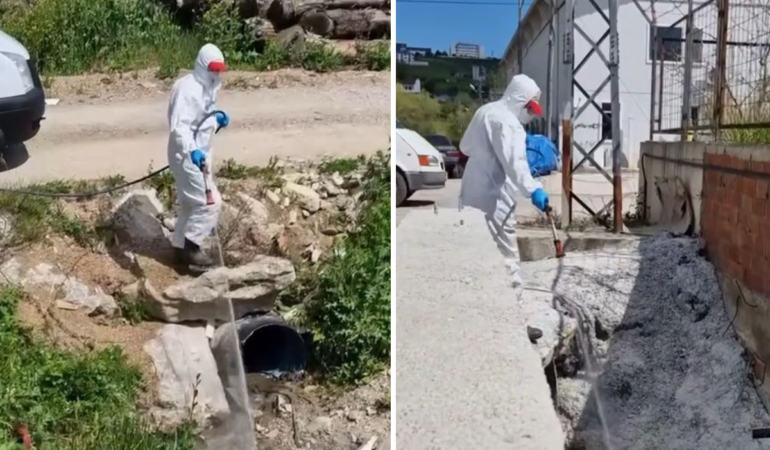 Sinop’ta ilaçlama çalışmaları başladı