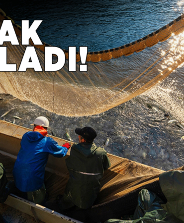 y-a-s-a-k-b-a-s-l-a-d-i