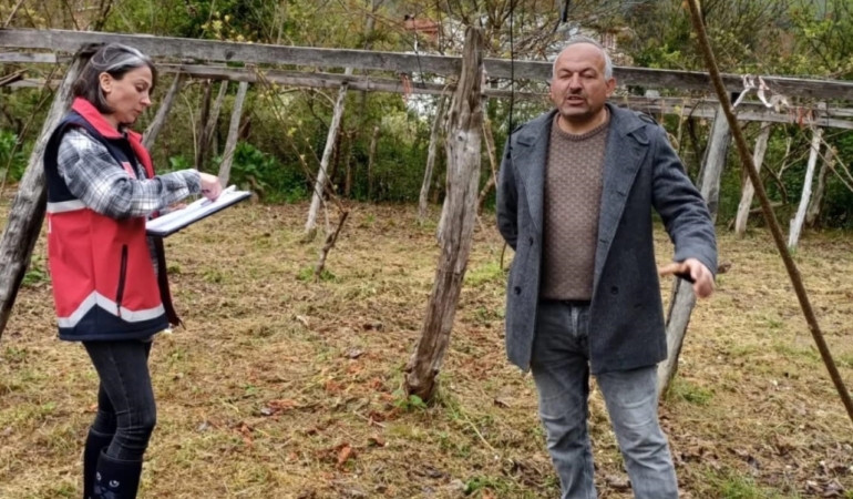 Zirai don sonrası hasar tespit çalışmaları yapılıyor