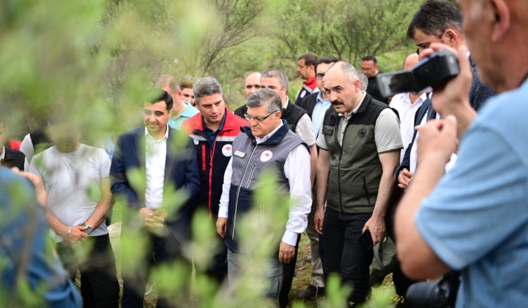 Sinop’ta zeytin seferberliği!