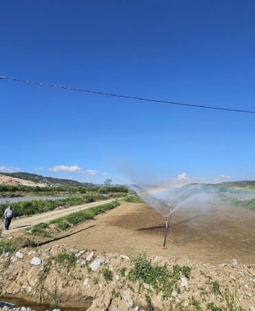 494394352-9567225830066347-997062797864601806-n