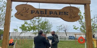 495024612-1119555166883015-1884525658955907184-n