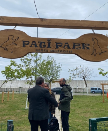 495024612-1119555166883015-1884525658955907184-n