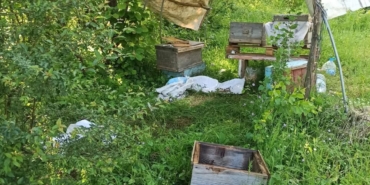 498273964-9563169797138617-5515246385629076940-n