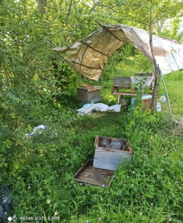 498273964-9563169797138617-5515246385629076940-n