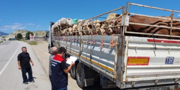 499861541-122098999016885615-1731456639905813665-n