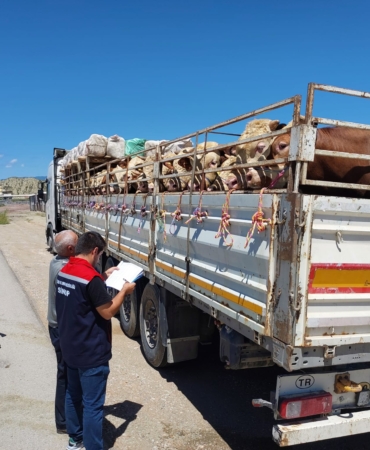 499861541-122098999016885615-1731456639905813665-n