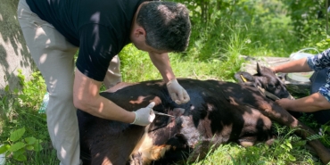 500042953-18113587111489399-4092166277417328993-n