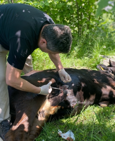 500042953-18113587111489399-4092166277417328993-n