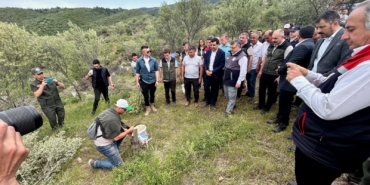 500808703-1419554179058912-7141774513515102241-n