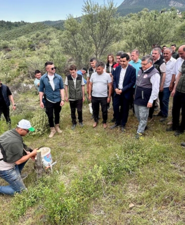 500808703-1419554179058912-7141774513515102241-n