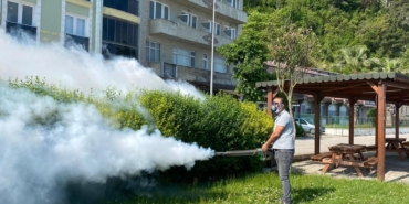 502541598-1151786680321927-6989348771642238105-n