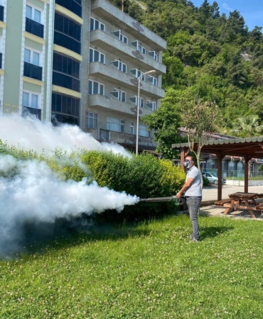 502541598-1151786680321927-6989348771642238105-n