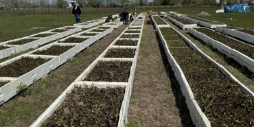 70-donum-arazide-salep-hasati-basladi