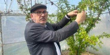 SİNOPLU ÇİFTÇİDEN AŞIRI DON OLAYI SONRASI AÇIKLAMA