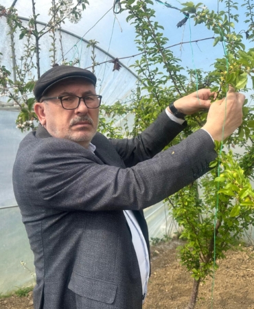 SİNOPLU ÇİFTÇİDEN AŞIRI DON OLAYI SONRASI AÇIKLAMA