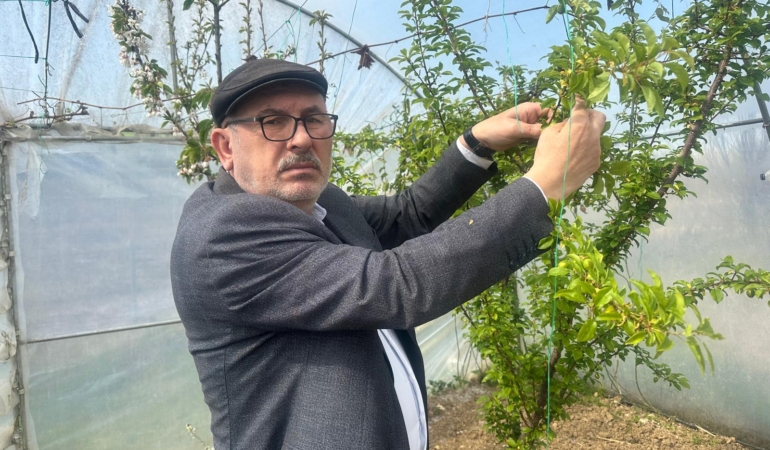 SİNOPLU ÇİFTÇİDEN AŞIRI DON OLAYI SONRASI AÇIKLAMA