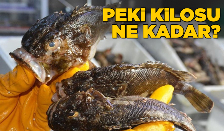 İskorpit sezonu Sinop’ta başladı