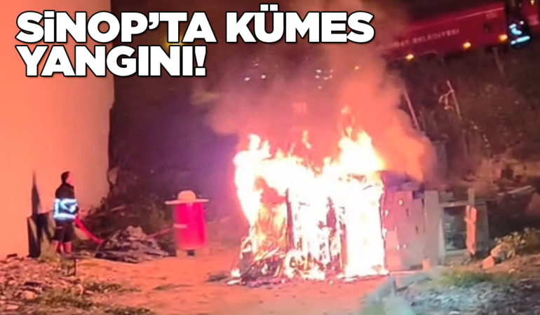 Kümes alevlere teslim oldu