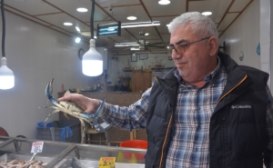 SİNOP'TA DEV MAVİ YENGEÇ GÖRENLERİ ŞAŞIRTTI