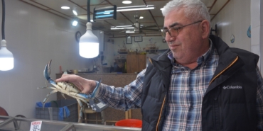 SİNOP'TA DEV MAVİ YENGEÇ GÖRENLERİ ŞAŞIRTTI