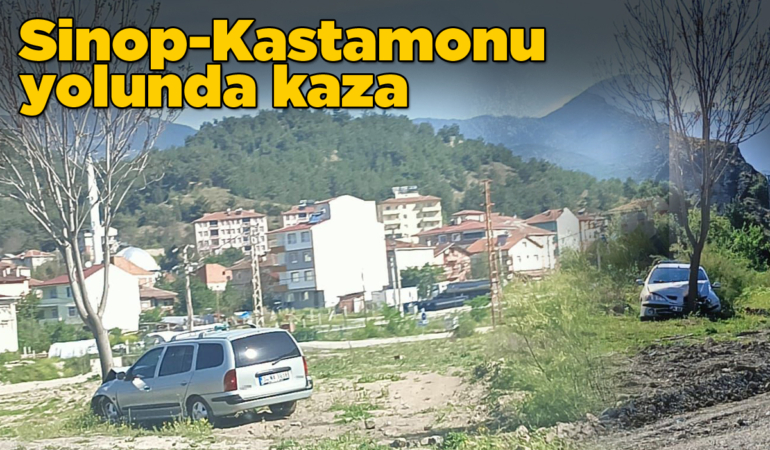 Otomobilin ağaca çarptığı kazada 2 kişi yaralandı