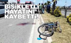 b-i-s-i-k-l-e-t-l-i-h-a-y-a-t-i-n-i