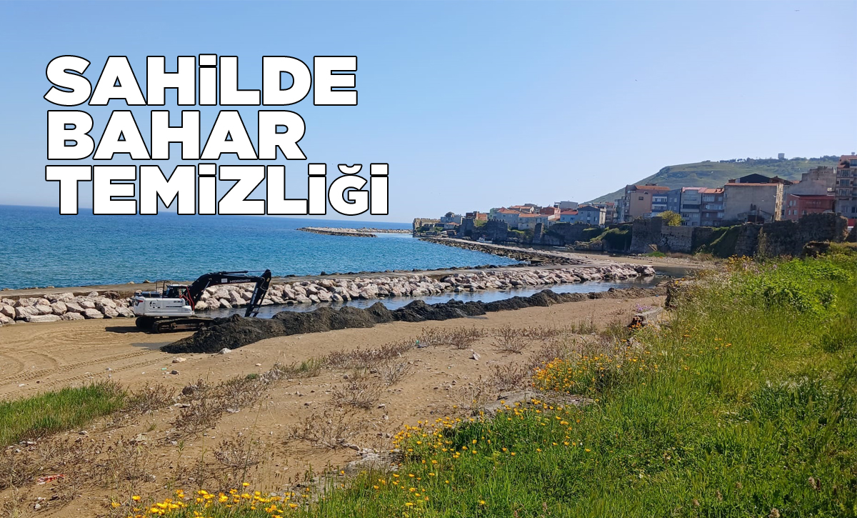 bahartemizligi